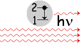  Stimulated Emission 