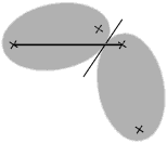  Congruent ellipses symmetrical 
 with respect to a common tangent. 