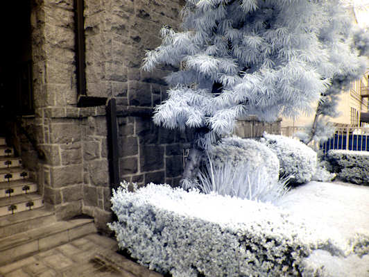  Entrance of my castle, in infrared
 (720 nm) noontime in June, 2015-06-12 11:34 