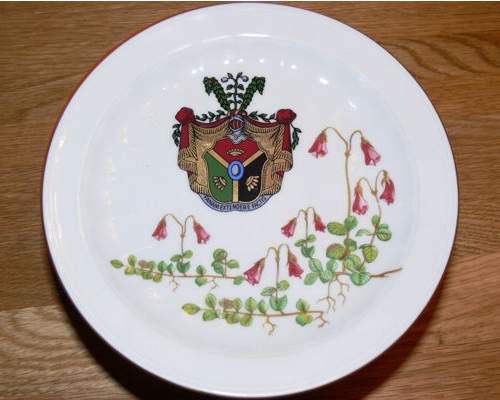  Arms of Linnaeus on a Jubilee plate 