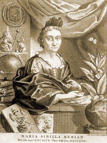  Maria Sibilia Merian 