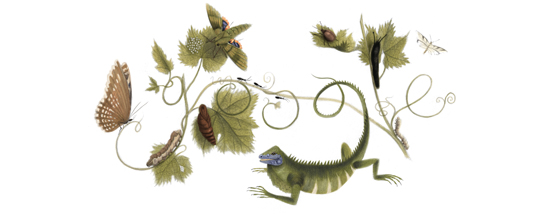  April 2, 2013. Maria Sibylla Merian's 366th Birthday 