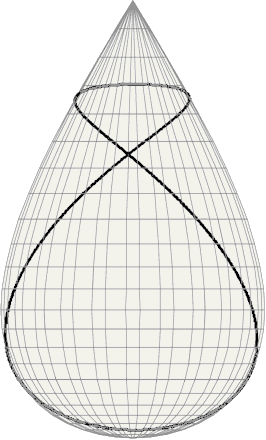  Tannery's pear 
with typical geodesic 
