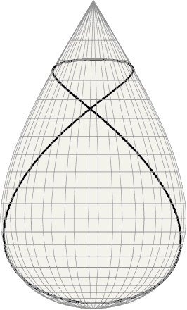  A bold geodesic line drawn  
 on the surface of Tannery's Pear. 